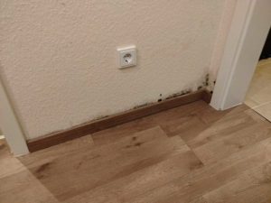 Wasserschadensanierung-Vorher-1-Trockenmeister.de