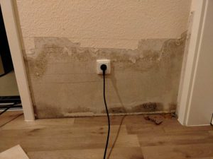 Wasserschadensanierung-Vorher-2-Trockenmeister.de